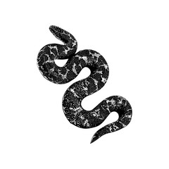 Kenyan Sand Boa hand drawing vector illustration isolated on background