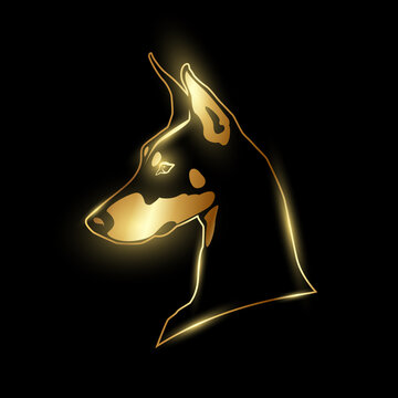 recommend clip art: Gold Doberman head logo on a black background. Strict Dog golden silhouette side view.