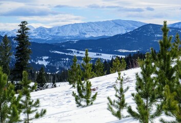 snow covered mountains