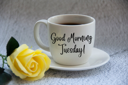Tuesday Morning Stock Illustrations – 647 Tuesday Morning Stock  Illustrations, Vectors & Clipart - Dreamstime