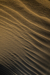 gold layer pattern of sand waves