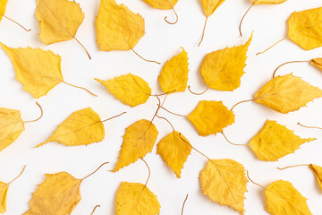 Autumn background from yellow dry leaves. Flat lay.