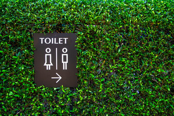 toilet sign for men and women on the green grass wall background.