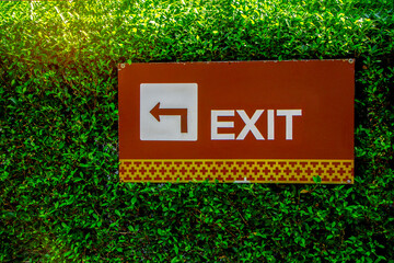 Exit with arrow sign on  green leaf wall background.