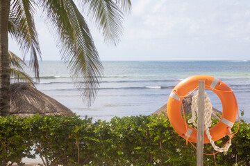 lifebuoy safety ring hanging on post by tropical ocean view