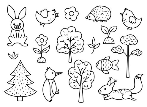 Vector black and white forest set with plants, trees, animals, birds. Woodland coloring page for kids. Cute nature outline collection. Garden icons pack with squirrel, woodpecker, hare, hedgehog.