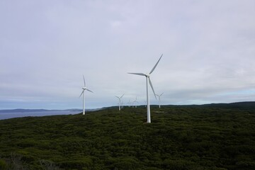 Wind Farm on a Grey Winter Day