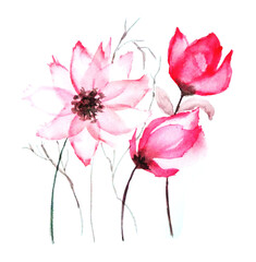 Fiori rosa ad acquerello su sfondo bianco