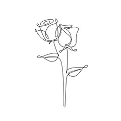 one line rose flower minimalism drawing vector illustration floral art design