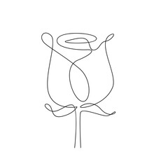 one line rose flower minimalism drawing vector illustration floral art design