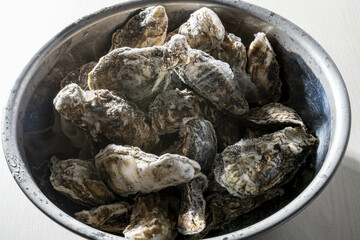 新鮮で美味しい牡蠣