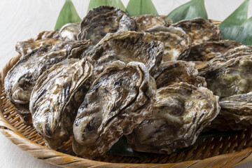 新鮮で美味しい牡蠣