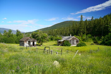 Derelict Farm in British Columbia, Canada - 517603313