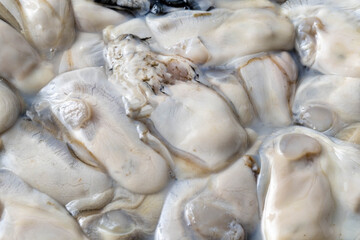 Fototapeta na wymiar 新鮮で美味しい牡蠣