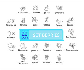 Berries icons set with names. Simple concise images of berries with names. Collection of icons in outlines.  Raspberry, mountain ash, black currant, rosehip, olive, gooseberry and others. Vector, eps