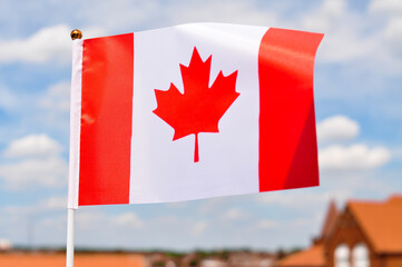 the national flag of Canada red maple leaf red and white colors close up