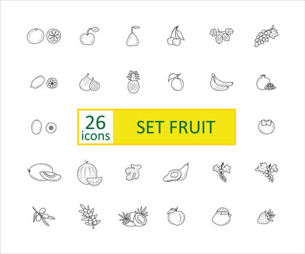 Fruits icon set. Simple concise images of fruits with names. Collection of icons in outlines.  Lemon, orange, ginger, watermelon, melon, plum, pineapple, gooseberry and others. Vector, eps
