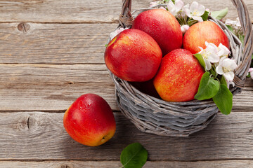Ripe red apples and apple blossom flowers in basket