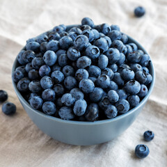 Raw Organic Blueberries in a Bowl, low angle view. Close-up.