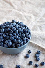 Raw Organic Blueberries in a Bowl, low angle view. Space for text.