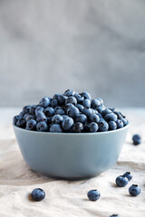 Raw Organic Blueberries in a Bowl, side view.