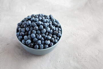 Raw Organic Blueberries in a Bowl on a gray background, side view. Copy space.