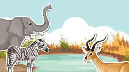 Wild animal in nature scene © blueringmedia