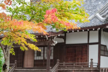 Poster もみじ 紅葉 momiji maple 京都 kyoto 日本 japan 秋 autumn autumnleaves 風景 和 和風 © Mr.Kyoto