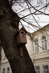 birdhouse on an old tree in the park