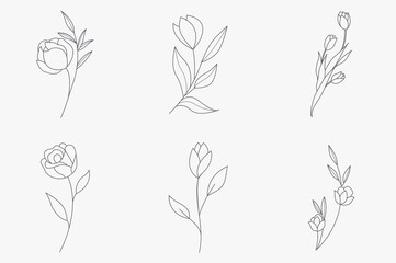 flower in hand drawn style. bloom and floral black and white. Illustration for the Valentine's day, wedding decor, logo and identity template.