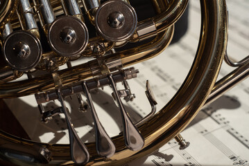 A part of french horn on white musical notes background