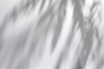 Obraz premium Blurred overlay effect for for natural light photo effects. Gray shadows of tree branches on a white textured wall. Abstract neutral plant nature concept background for poster design presentation