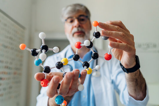 Mature scientist holding helix model in laboratory