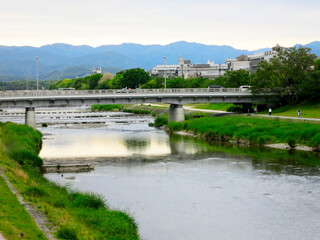 Fototapeta na wymiar Kamogawa river in Kyoto, Japan 