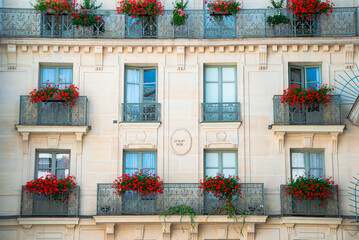 Fototapeta na wymiar Building facade detail in Paris with flowers on the balconies