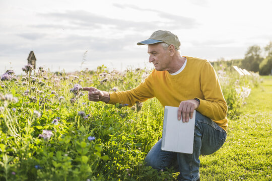 Smiling farmer wearing cap examining flowering plants at farm