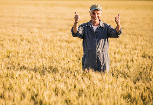 Happy senior farmer with thumbs up gesture standing in field