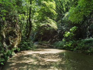 View of Farfa gorge called gole del Farfa in the summer season Lazio Italy