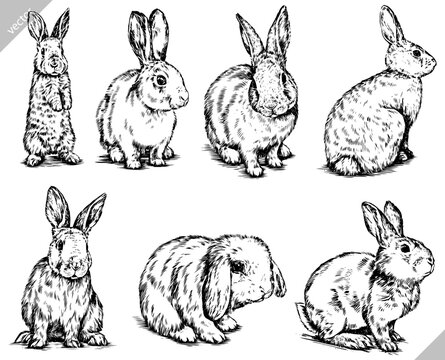 black and white brush painting ink draw isolated rabbit set illustration