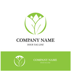 Beauty Vector lotus icon