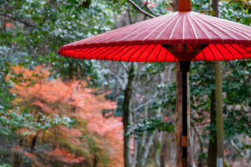 Fototapeta na wymiar 秋の神戸市・瑞宝寺公園で見た、赤い和傘とその背景にある紅葉