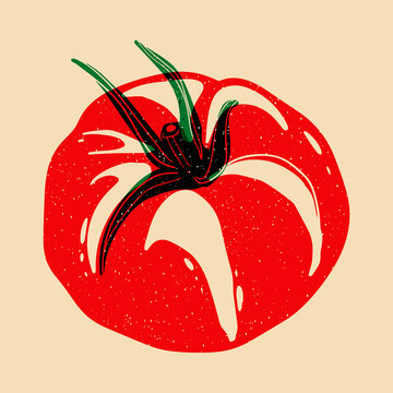 Juicy red tomato. Vector illustration with Riso print effect