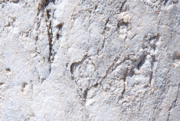 Natural stone texture background surface with old natural pattern