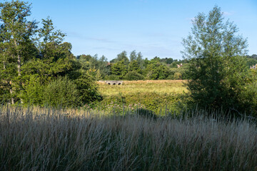 Walk around Cowdray Park