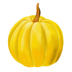 Yellow pumpkin on white isolated background, autumn harvest