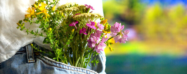 Beautiful tender flowers in front pocket of jeans