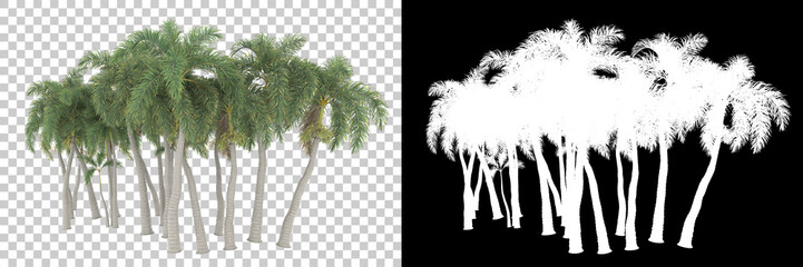 Palm trees isolated on background with mask. 3d rendering - illustration