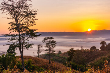 Landscape of the mountains and field with fog on sunrise