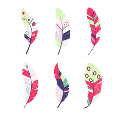 set of colorful feathers