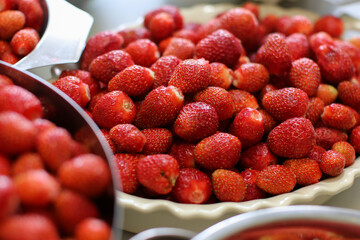 ripe fresh strawberries in bowls